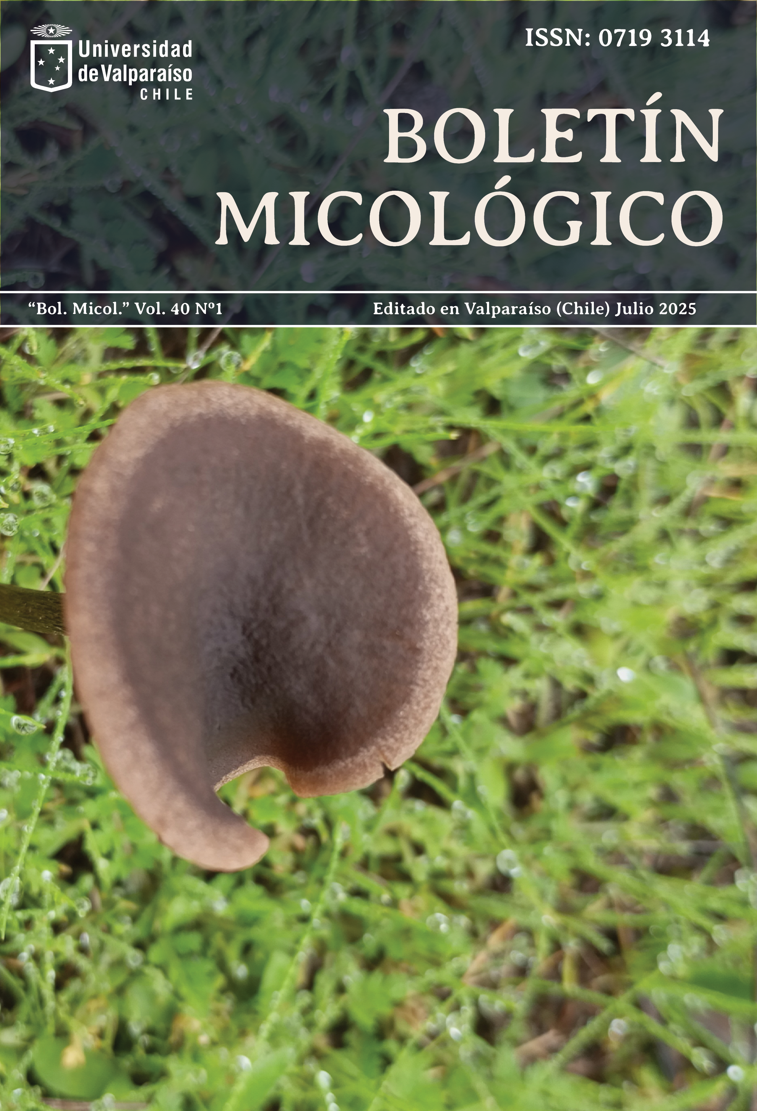 					Ver Vol. 40 Núm. 1 (2025)
				