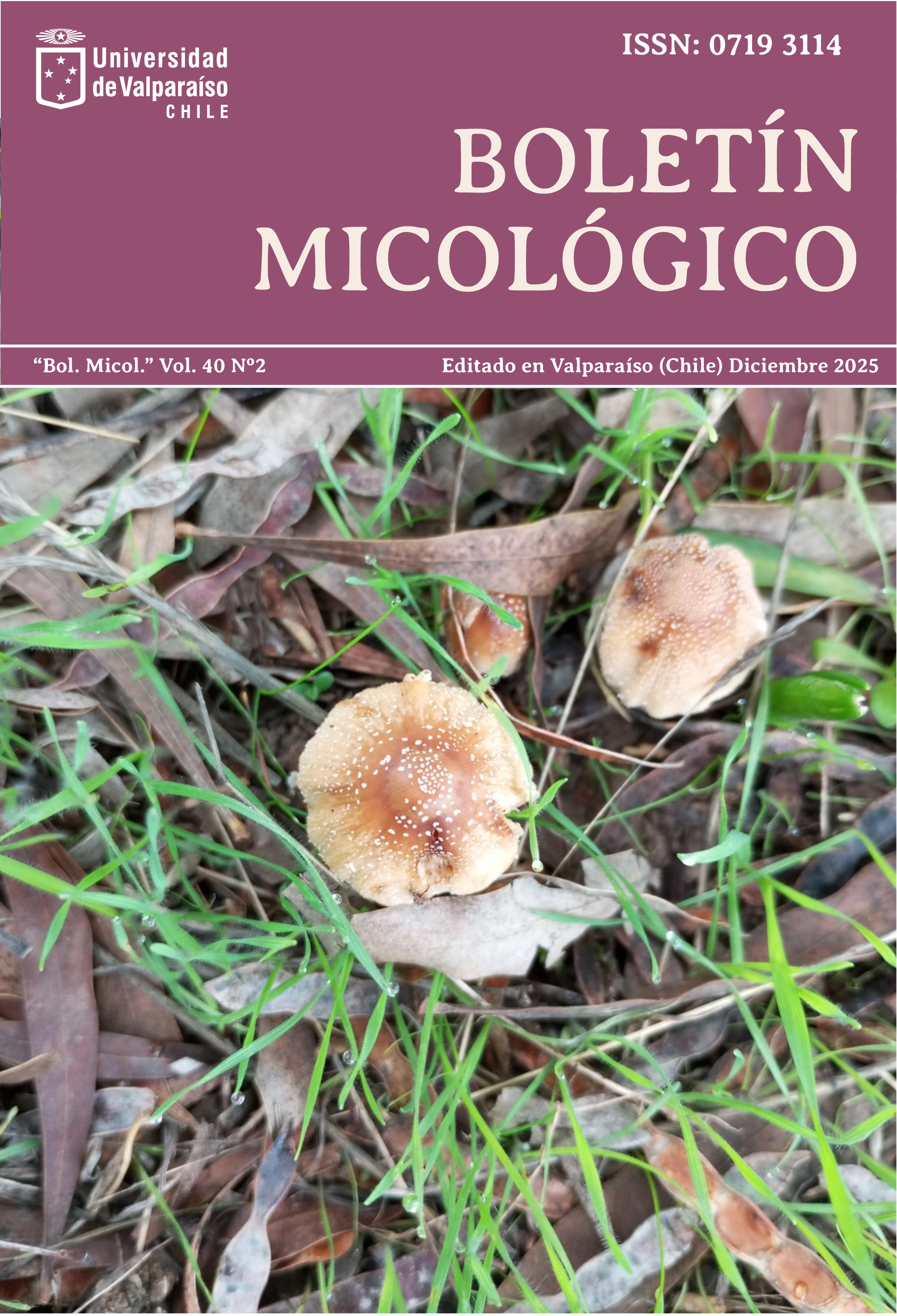 Boletín Micológico